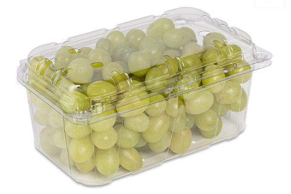 Caserole transparente pentru fructe cu capac atasat 500g – bax cu 600 buc. sanito.ro